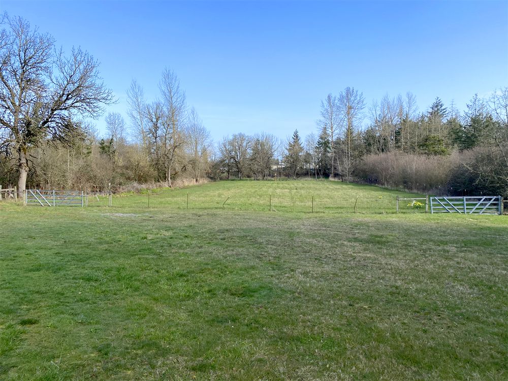 Excellent Land Development Opportunity: 1441 W Main St, Molalla, OR 97038